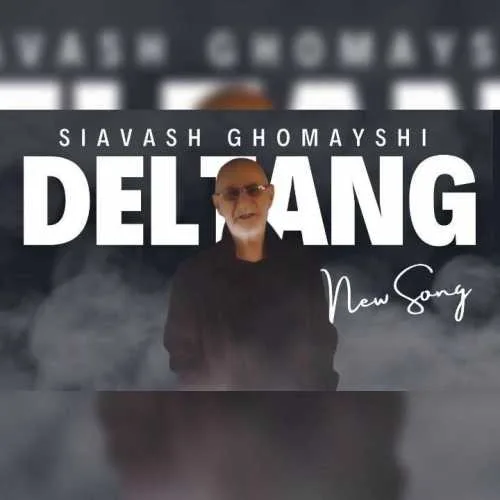 Siavash Ghomayshi Deltang AhoMusic.jpg